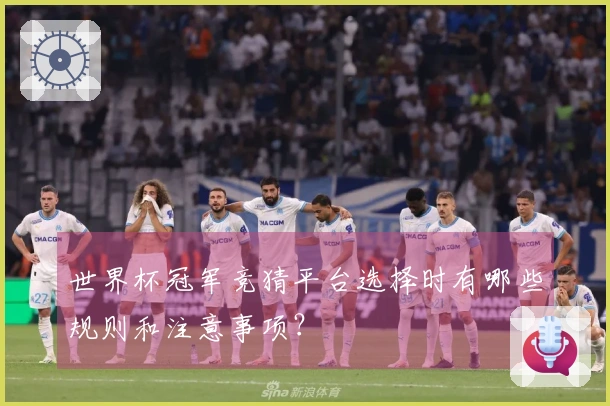 世界杯冠军竞猜平台选择时有哪些规则和注意事项？